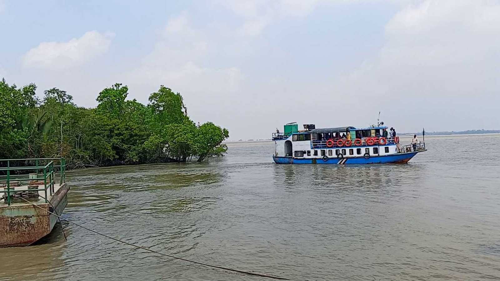 রয়্যাল বেঙ্গল টাইগারের শেষ আশ্রয়স্থল সুন্দরবন