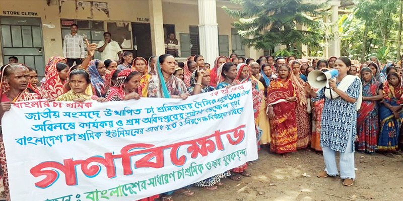 চা শ্রমিকদের ৫০০ টাকা মজুরি কার্যকরের দাবিতে বিক্ষোভ