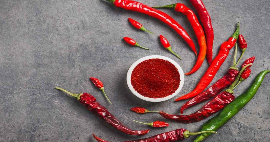 কাঁচা মরিচ নাকি শুকনো মরিচ? কোনটি বেশি উপকারী?
