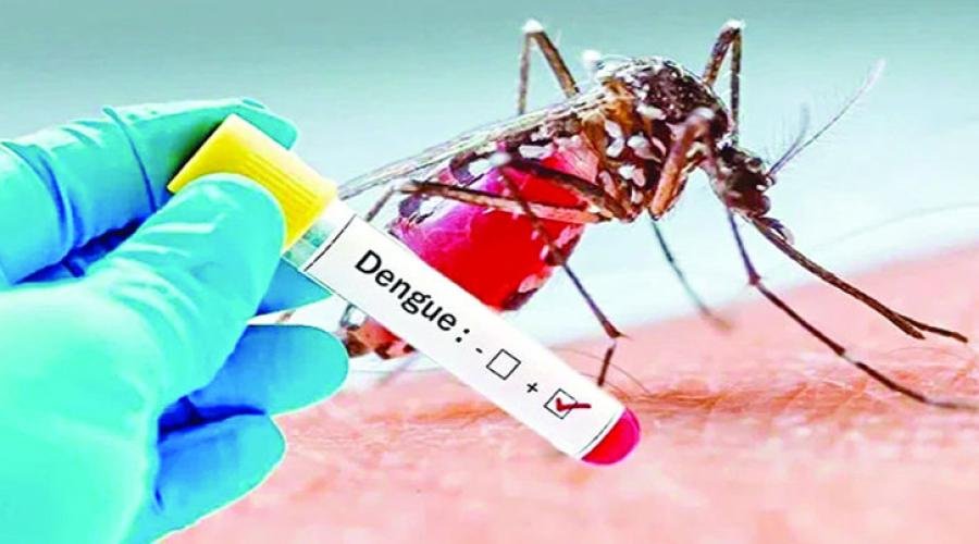 ডেঙ্গুর সংক্রমণ ঊর্ধ্বমুখী, সতর্কতা দরকার