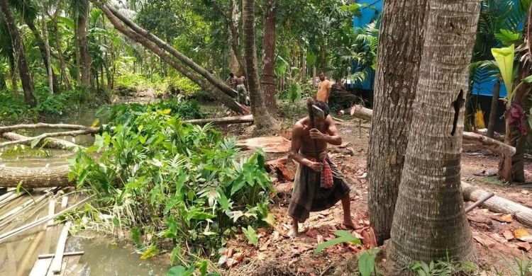 দাবিকৃত ৫ লাখ টাকা না দেওয়ায় বিধবার গাছ কাটার অভিযোগ