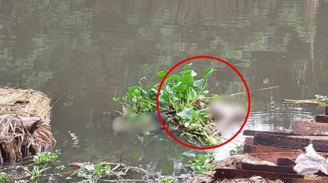 কচুরিপানার আড়ালে ভাসছিল বৃদ্ধের মরদেহ, শরীরে একাধিক আঘাতের চিহ্ন