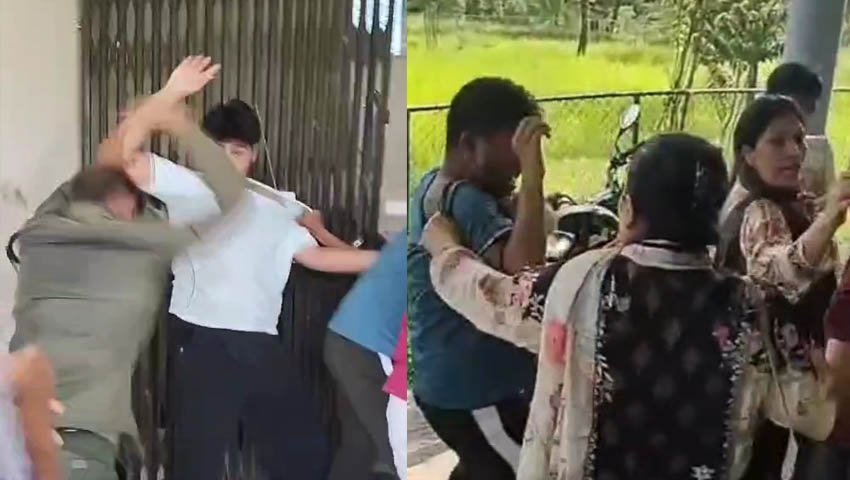 গাজীপুর সাফারি পার্কে ‘বাসের ময়লা নিয়ে’ দর্শনার্থী-কর্মী মারামারি, একজন বরখাস্ত