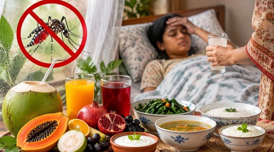 ডেঙ্গু রোগীর খাদ্য ব্যবস্থাপনা