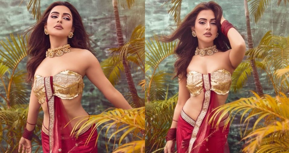 যে কারণে ‘ট্রাইব্যুনাল’ থেকে সরে দাঁড়ালেন নুসরাত