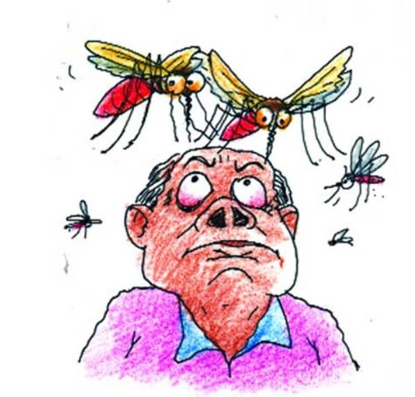 গল্প