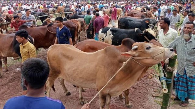 আটোয়ারী উপজেলার ফকিরগঞ্জ হাটে অতিরিক্ত টোল আদায়