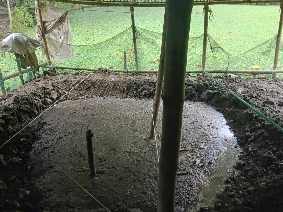 চাঁদপুরে পুকুর ভরাট করে গরুর খামারের বর্জ্য ফেলায় জরিমানা