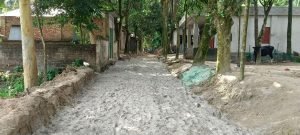 গাবতলীতে সরকারি রাস্তা নির্মাণে বাধা