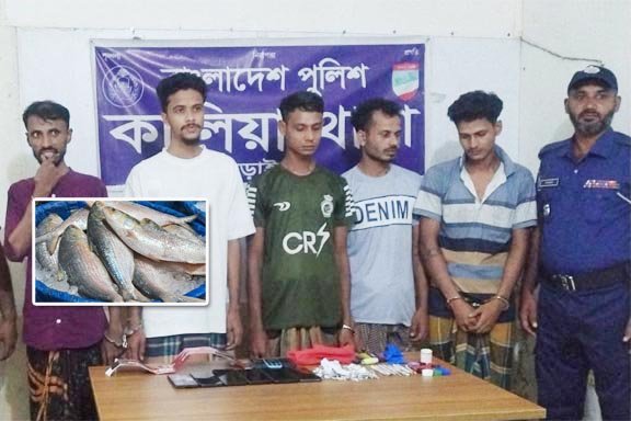 চাঁদপুরে ইলিশ ও লোভনীয় পণ্যের নামে অনলাইন প্রতারণা, গ্রেফতার ৪
