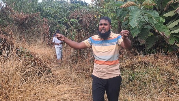 খলিশাডুলীতে নার্সারির গাছ বিষ দিয়ে জ্বালিয়ে দেয়ার অভিযোগ