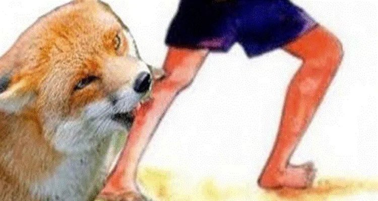 বাজিতপুরে শিয়ালের কামড়ে আহত ৩৫