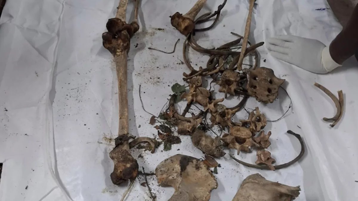 স্ত্রী চলে যাওয়ায় শ্যালককে হত্যা: এক মাস পর মিললো কঙ্কাল
