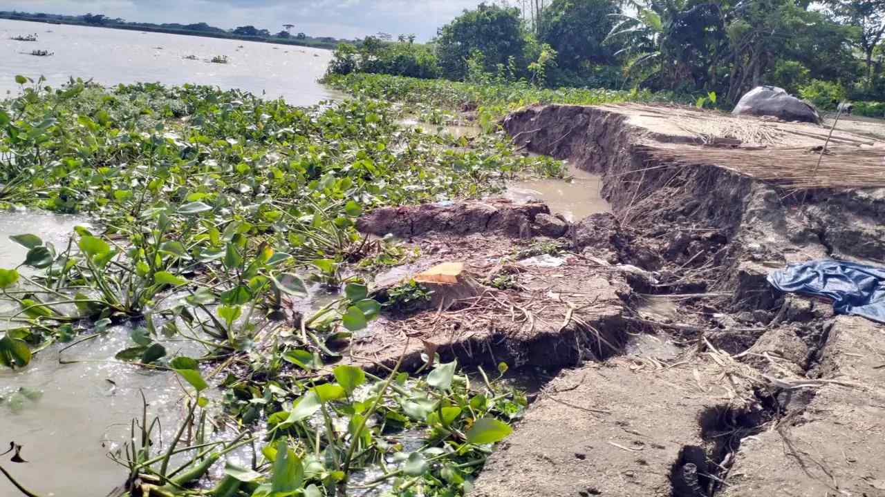 নদী ভাঙনে বসতভিটা হারাচ্ছেন মিয়ারচরের বাসিন্দারা