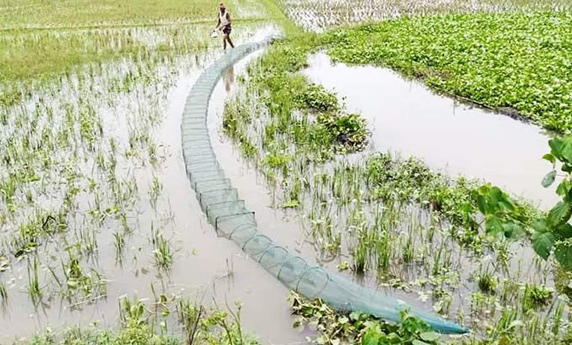 চায়না দুয়ারি জাল ব্যবহারে শেরপুরে অস্তিত্ব সংকটে দেশীয় মাছ