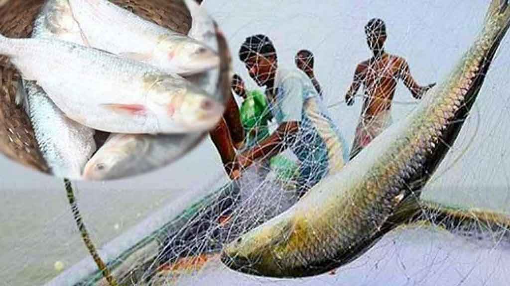 সাগরে মাছ ধরা নিয়ে হাইকোর্টের আদেশ স্থগিত