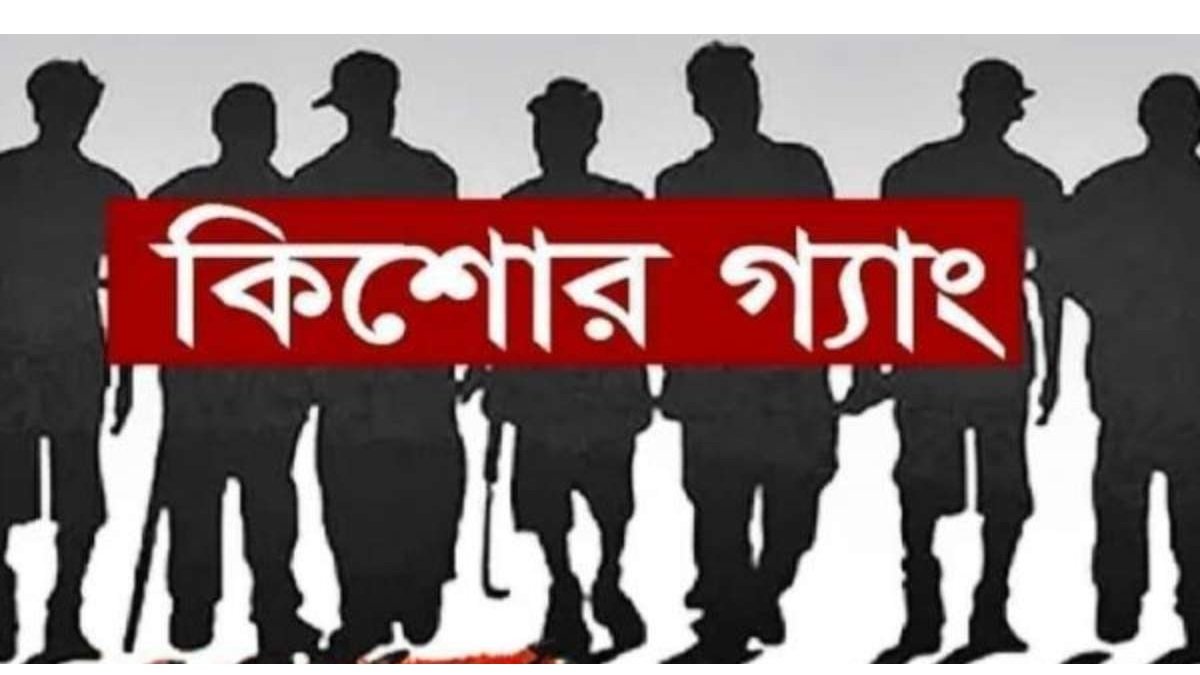 কিশোর গ্যাং, সামাজিক ব্যাধি